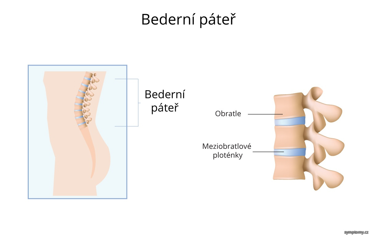 bederni-pater